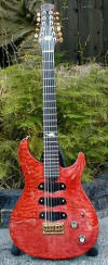 2nd Hollow body 12-string built for Van Halen